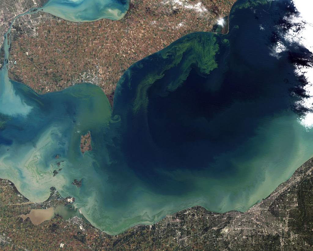 This image was taken in 2011 during one of Lake Erie's worst algae blooms in decades. Image credit: NASA Earth Observatory