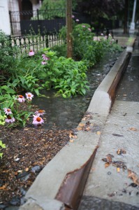 Bioswales, Dean St and 4th Ave, Brooklyn