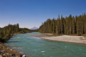 Healthy watersheds are a key component of Alberta’s flood-resilient future. Photo credit: Alberta Government