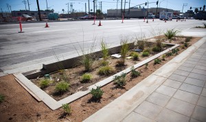 Anaheim Green Street Project bioswales with drought-tolerant landscaping. Image by Port of Long Beach