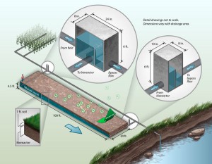 This schematic shows a typical denitrifying ‘woodchip’ bioreactor for treating nitrate in agricultural tile drainage. (Credit: Laura E. Christianson and Matthew Helmers/Iowa State Extension)