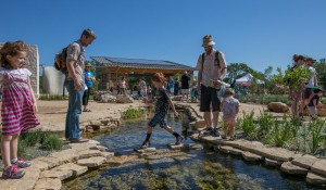 Luci and Ian Family Garden at the Lady Bird Johnson Wildflower Center in Austin, Texas. Image by Brian Birzer