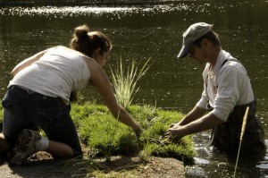 Volunteers plant a floating treatment wetland mat at Hayden Lake in Idaho. Image by Kootenai Environmental Alliance