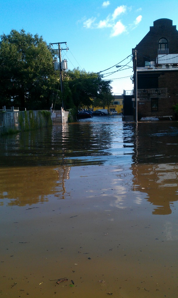 flooding in Alexandria
