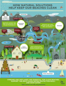 An infographic from NRDC on how natural solutions can help keep beaches clean.
