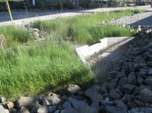 A bioswale with erosion- and trash-control best management practices at an orphan site. Image by Port of Long Beach