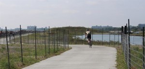A cyclist enjoys new trails on Northerly Island. Image by the Chicago Parks Department