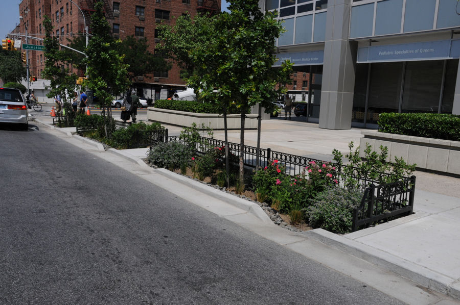 NYC begins building 321 curbside rain gardens