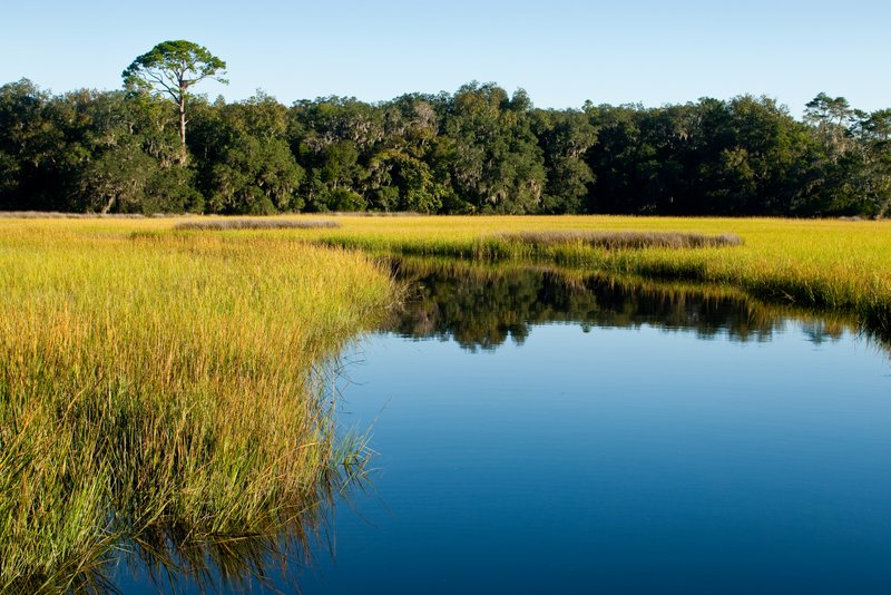 Coastal wetlands play key role in reducing flood damages from storm surge, study finds