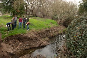 Professor Richard Luthy and a team of graduate students survey a creek in Sonoma County, Calif., as part of a study on stormwater capture and reuse. (Image by Linda A. Cicero / Stanford News Service) 
