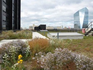 A green roof retrofit on the PECO Building in Philadelphia helps to fulfill the city's Green City, Clean Waters Initiative. Image by the Philadelphia Water Department