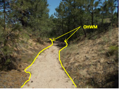 A natural drainage feature that accepts water from a roadside ditch. It has an Ordinary High Water Mark (OHWM) and is tributary to a water of the U.S. Image credit: Douglas County, Colorado